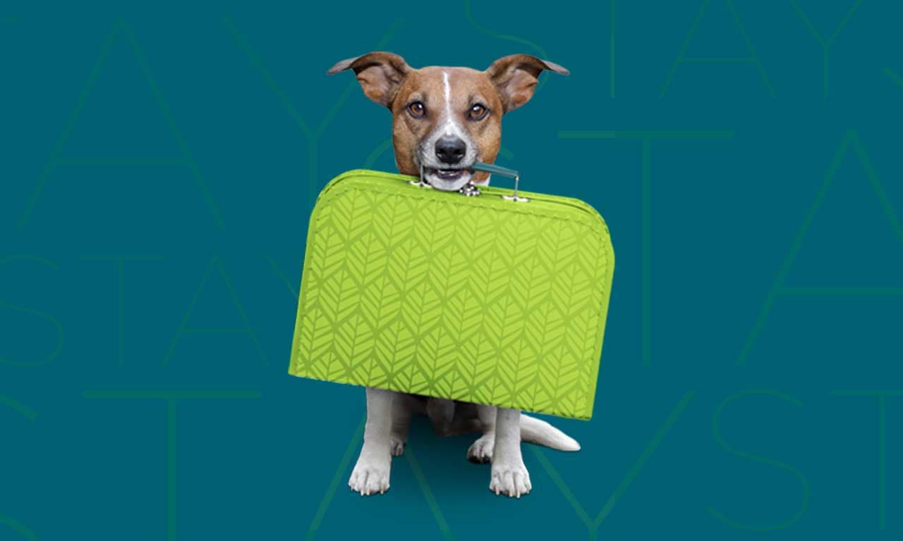 PET-FRIENDLY LOCATIONS