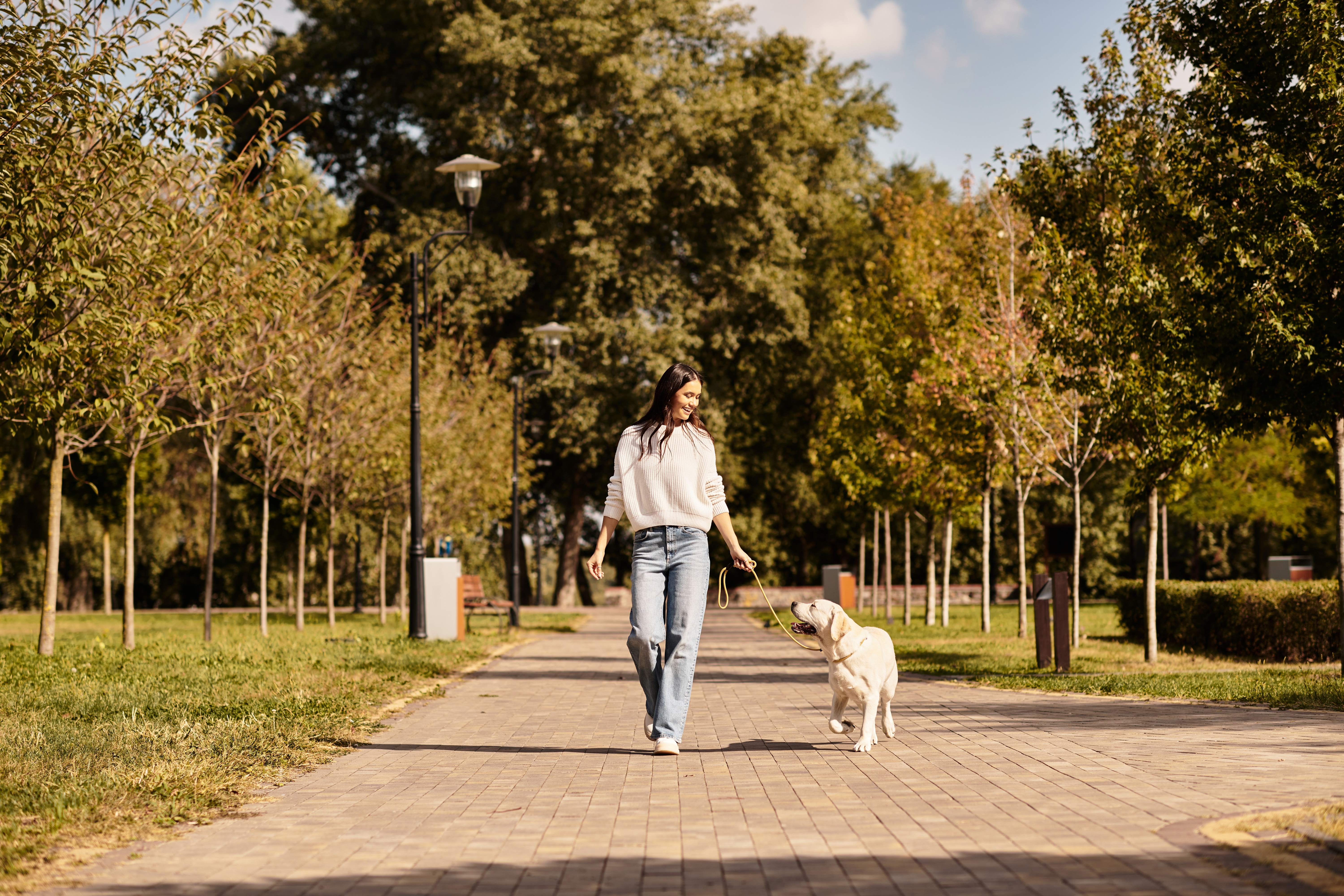 Dog-Friendly Places in San Antonio Near WoodSpring Suites Hotels