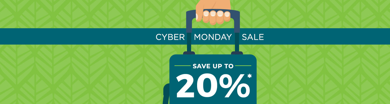 wsweb/offers/Cyber+Monday+2018/cyberMonday1310x350+%281%29.jpg