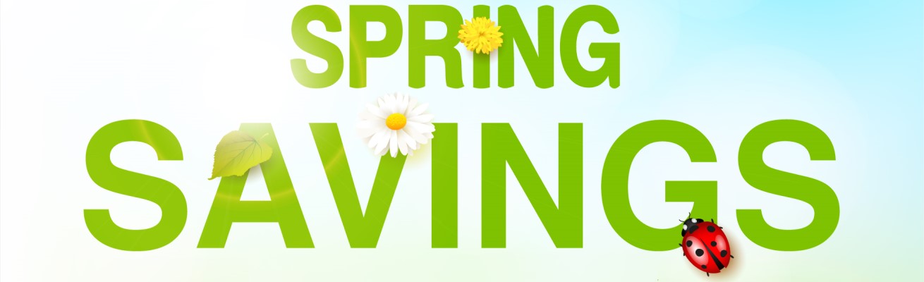 wsweb/offers/Spring+Savings+2021/SpringSavings-1310x400.jpg