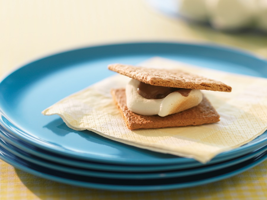 MICROWAVE S'MORES